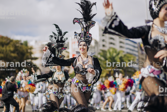 Carnival of Santa Cruz de Tenerife