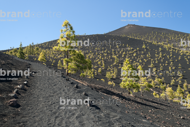 Path Routes of the Volcanoes, La Palma