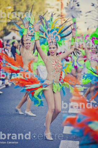 Carnival of Las Palmas de Gran Canaria