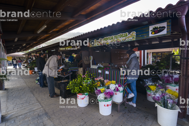 Farmer&#39;s market in Tegueste