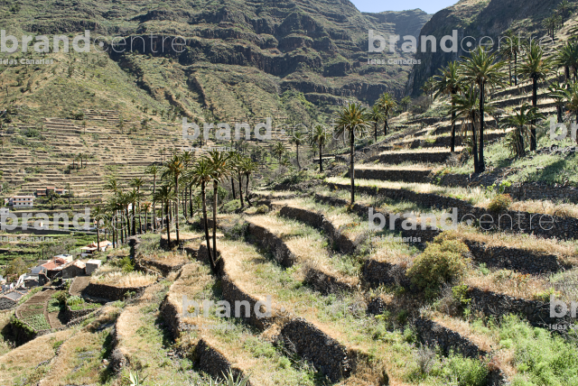 Fenced Path-Gran Rey Valley
