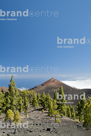 Sendero Rutas de los Volcanes, La Palma