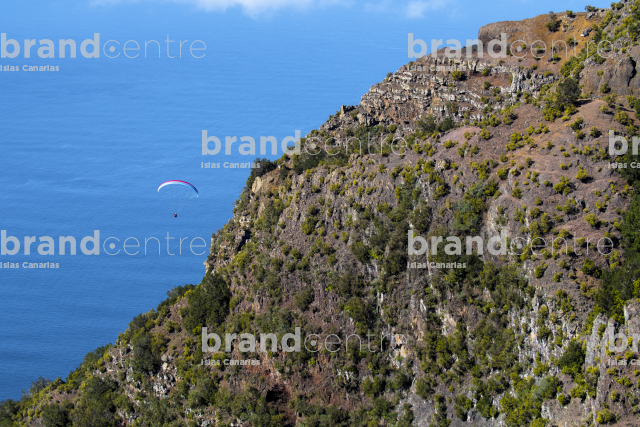 Tandem flight along the Gulf cliff