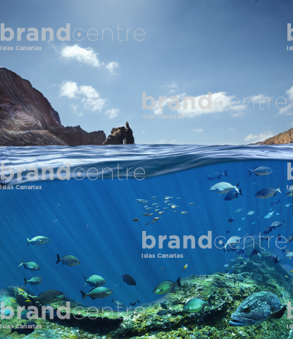 Diving in El Hierro (Illustrative montage)