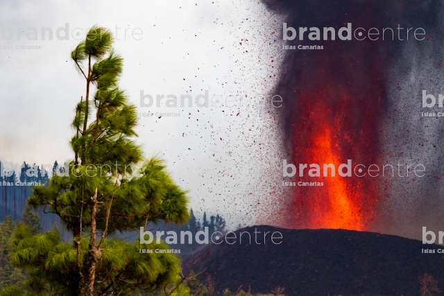 Erupción volcánica Cumbre Vieja, La Palma