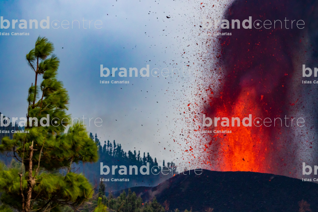 Erupción volcánica Cumbre Vieja, La Palma