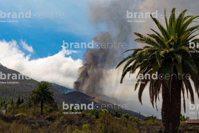 Cumbre Vieja volcanic eruption, La Palma
