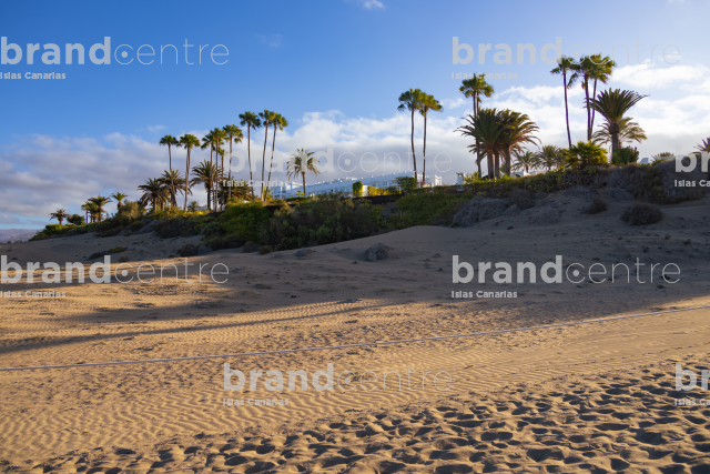 Trails in the Dunes of Maspalomas