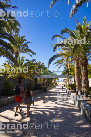 Senderos en las Dunas de Maspalomas