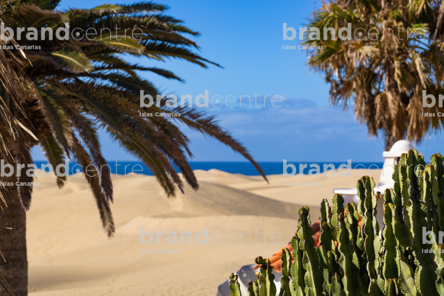 Trails in the Dunes of Maspalomas