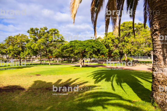 South Park, Maspalomas