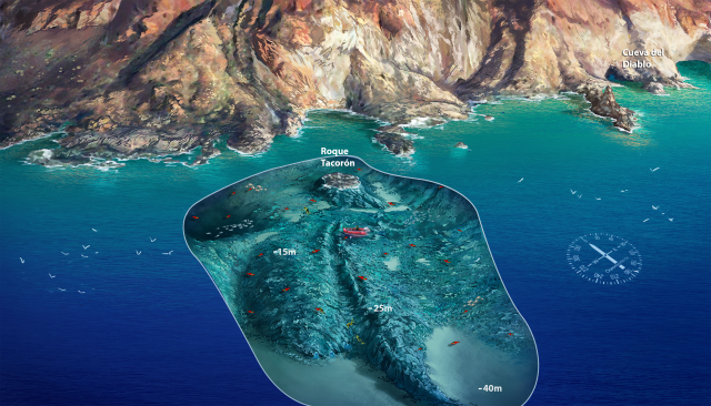 Roque Tacorón underwater map