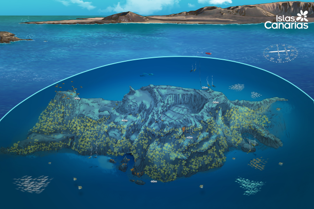 Mapa submarino Baja Gerardias