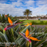 Parque del Sur, Maspalomas