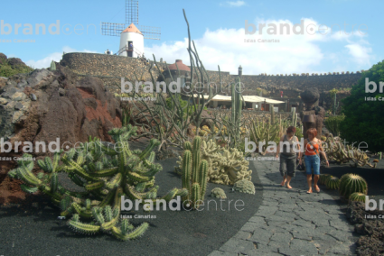 Jardín de Cactus