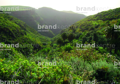 Natural Monument of the Barranco de Guayadeque