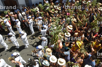 Fiesta de la Rama