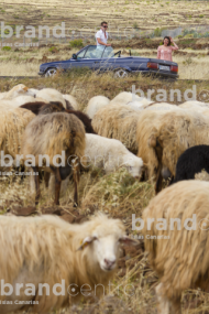 Ruta en coche por Gran Canaria