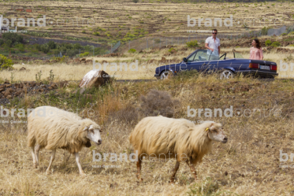 Ruta en coche por Gran Canaria