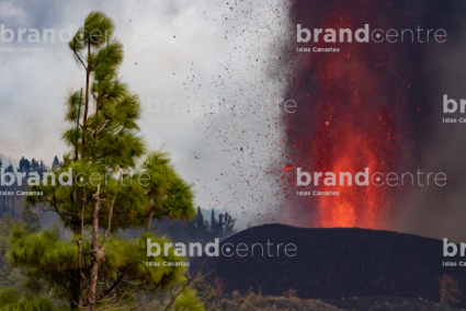 Erupción volcánica Cumbre Vieja, La Palma