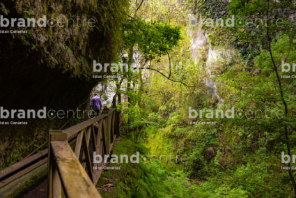 Bosque de los Tilos (Cascada)