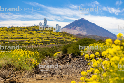 Observatorio Astronómico del Teide