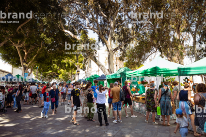 Mercado de Haría Artesanal