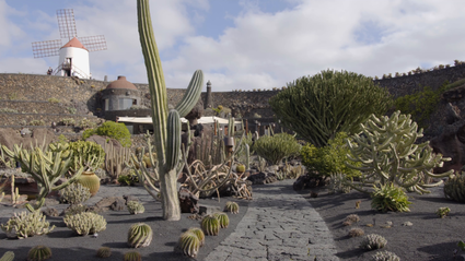 Clips de vídeo, jardín de Cactus, César Manrique