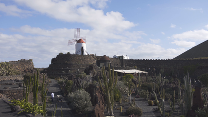 Clips de vídeo, Jardín de Cactus (III)